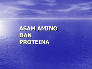 asam amino dan proteina