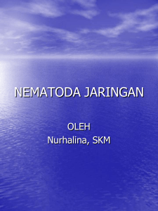 NEMATODA JARINGAN