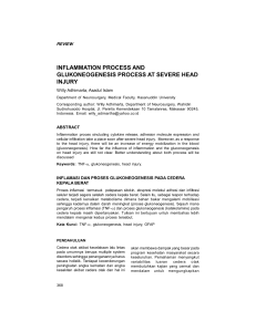 inflammation process and glukoneogenesis process at severe head