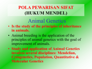 Animal Genetics - Bank Sel Gamet Ternak Lokal Indonesia