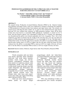 PRODUKSI POLI-β-HIDROKSI BUTIRAT (PHB)