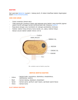 UJI IN-VITRO SENSITIVITAS ANTIBIOTIK TERHADAP BAKTERI