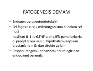 patogenesis demam