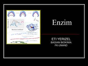 Enzim 2