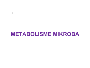 METABOLISME MIKROBA