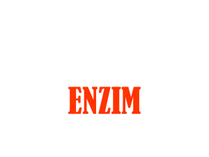 Enzim