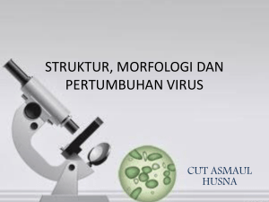 struktur, morfologi dan pertumbuhan virus