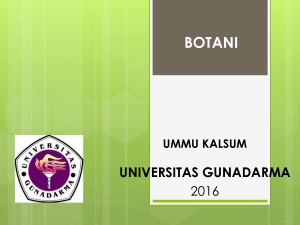 1. Botani - Pendahuluan - Official Site of Kalsum