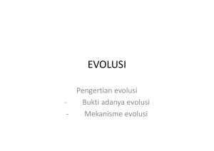 evolusi - thesains