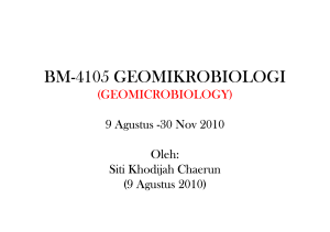 BM-4105 GEOMIKROBIOLOGI