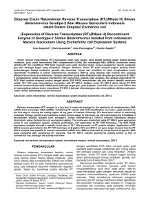 Ekspresi Enzim Rekombinan Reverse Transcriptase (RT∆RNase H