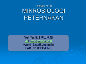 Klasifikasi Mikrobia