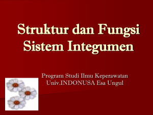 1. Struktur dan Fungsi Sistem Integumen