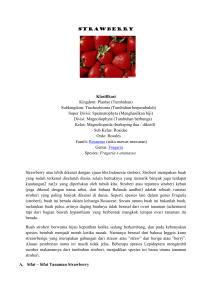 strawberry Klasifikasi Kingdom: Plantae (Tumbuhan) Subkingdom