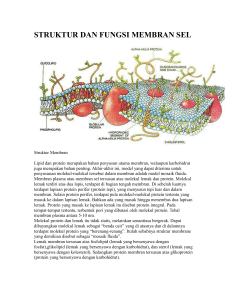 struktur dan fungsi membran sel