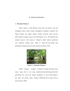 7 II. TINJAUAN PUSTAKA A. Bioekologi Mangrove Istilah `mangrove