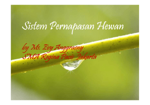Sistem Pernapasan Hewan_SMA_2016