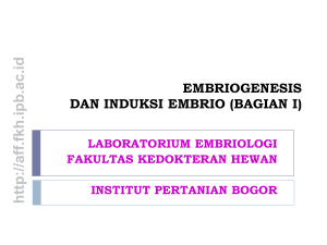 embriogenesis dan induksi embrio
