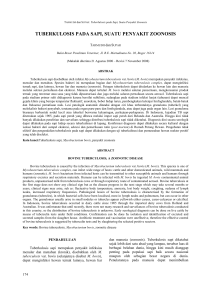 TUBERKULOSIS PADA SAPI, SUATU PENYAKIT ZOONOSIS