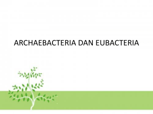 archaebacteria dan eubacteria