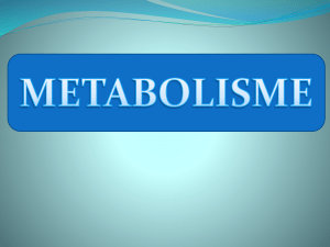 METABOLISME_pptx