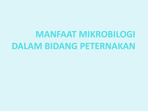 MANFAAT MIKROBILOGI DALAM BIDANG PETERNAKAN