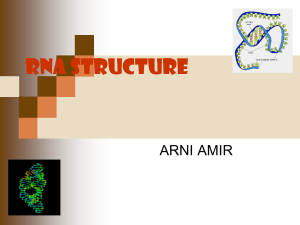 rna structure - Repository Unand