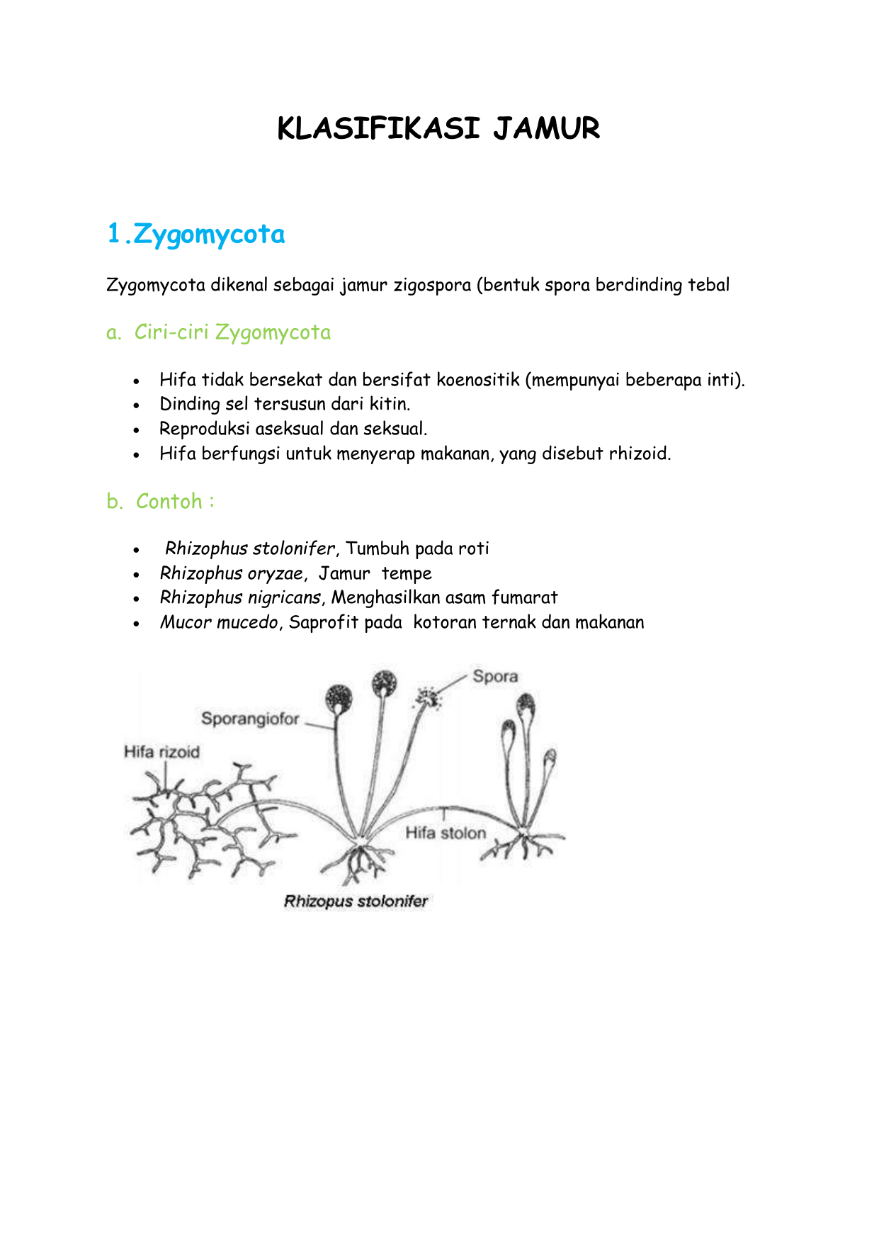  KLASIFIKASI JAMUR  1 Zygomycota