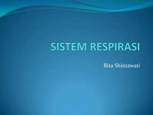 Rita Shintawati