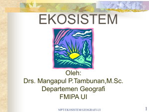 ekosistem - Website Staff UI