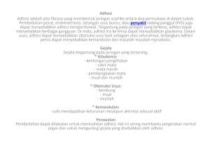 Adhesi - Blog UNPAD