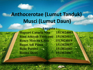 Lumut Daun - WordPress.com