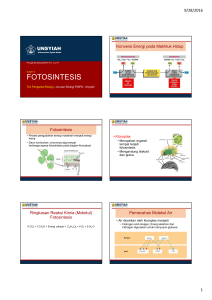 fotosintesis - Jurusan Biologi FMIPA