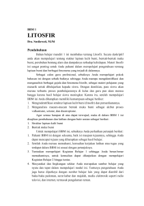 BBM 1 Litosfer