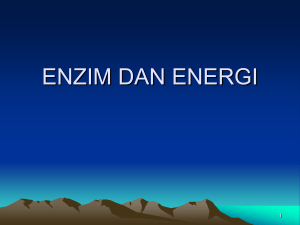enzim dan energi - paparazzi fisika