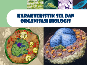 karakteristik sel dan organisasi biologis