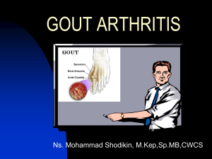 gout arthritis - WordPress.com