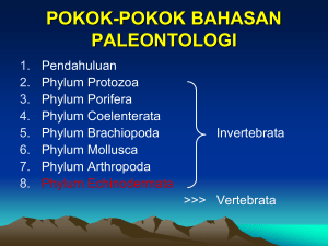 paleontologi - elista:.