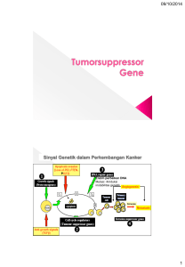 Tumorsuppressor Gene