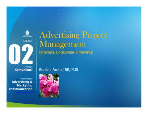 Advertising Project Management
