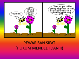 4. Pewarisan sifat kul-4