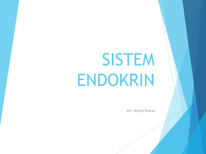 sistem endokrin - Herlina Pratiwi, DVM.