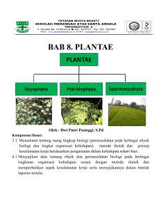 bab 8. plantae