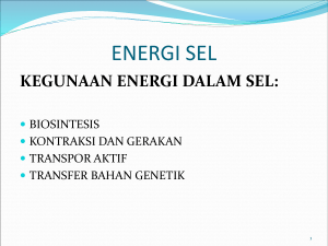 energi sel (2)