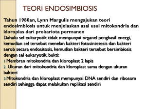 teori endosimbiosis