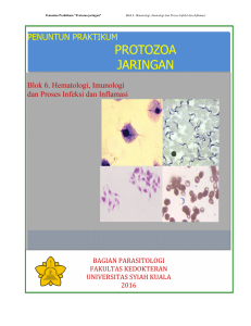 protozo jaringa protozoa jaringan otozoa ringan