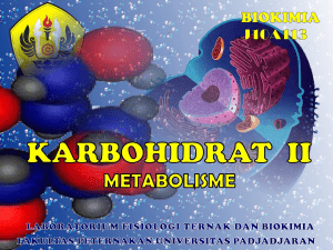 Karbohidrat 2_Biokimia 2011