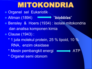 mitokondria - ukmifabiopeduli