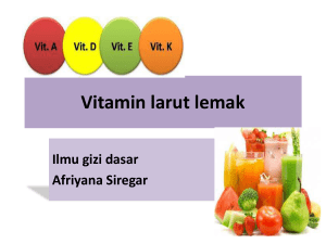 vit larut lemak