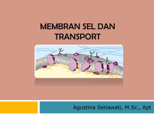 Membran sel dan transport